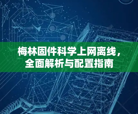 梅林固件科学上网离线，全面解析与配置指南